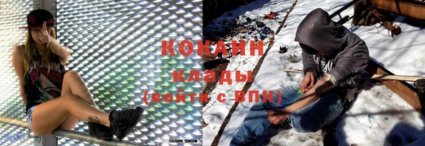 кокс Белокуриха