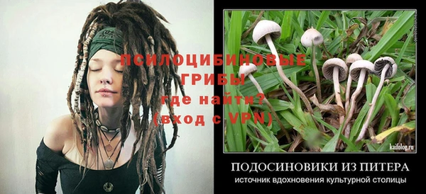 не бодяженный Беломорск