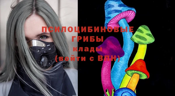 кокс Белокуриха