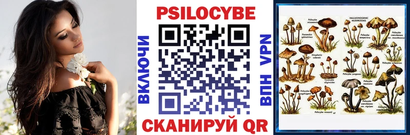 Псилоцибиновые грибы GOLDEN TEACHER  Горнозаводск 